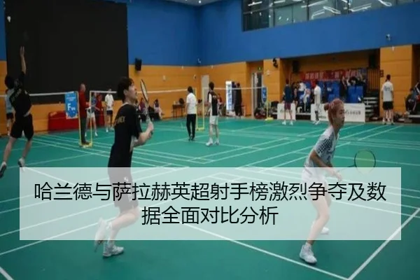 哈兰德与萨拉赫英超射手榜激烈争夺及数据全面对比分析 | FEIFAN SPORTS